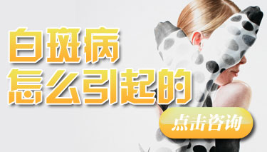 ����Ϊʲô����ɢ