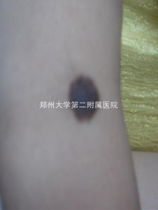 maoheizhi6969.jpg