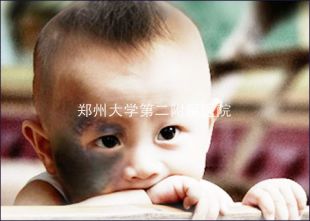 ori_510487a714ed1.jpg