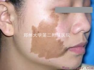 2013082416434977702.jpg